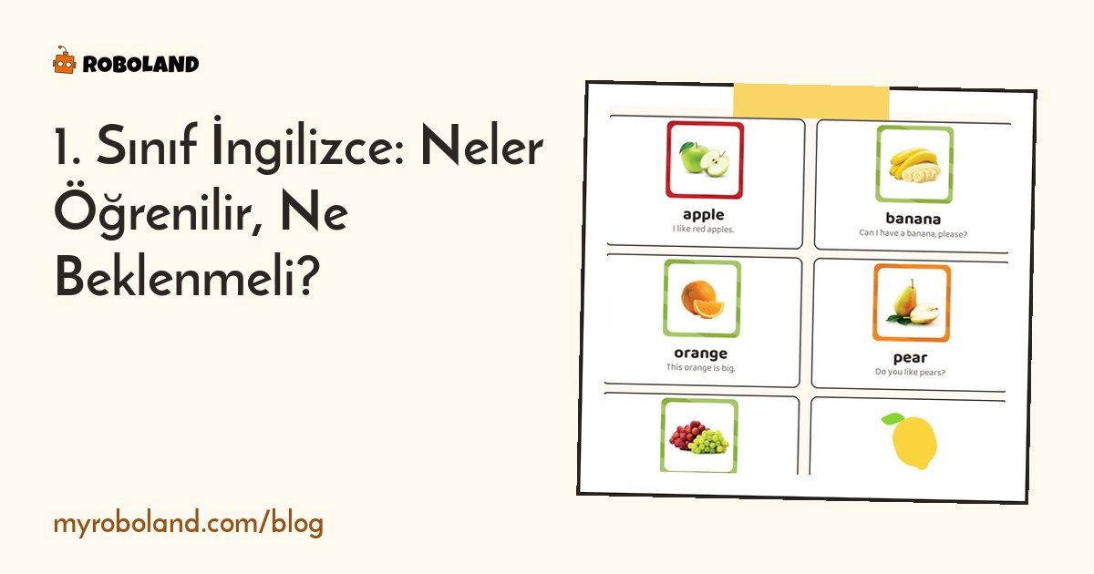 1. Sınıf İngilizce: Neler Öğrenilir, Ne Beklenmeli?